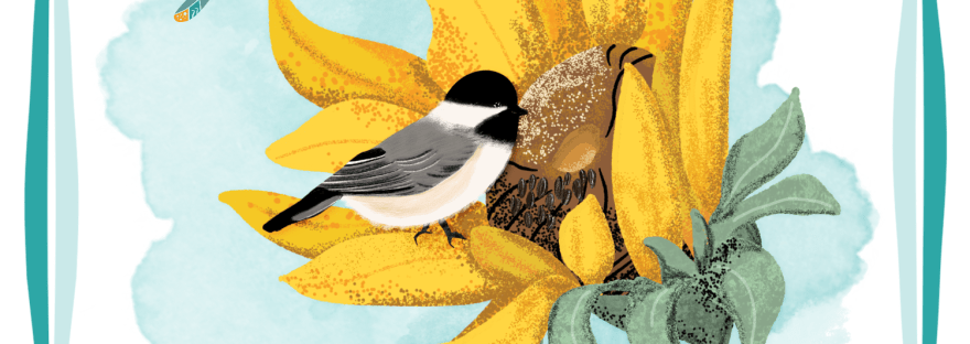 a chickadee on a sunflower with a colorful dragonfly darting up and away sharing Sheri42.net