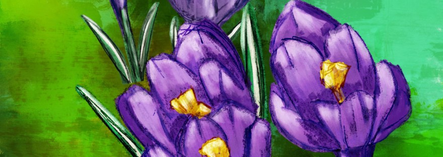 a cluster of purple crocus within the greenery