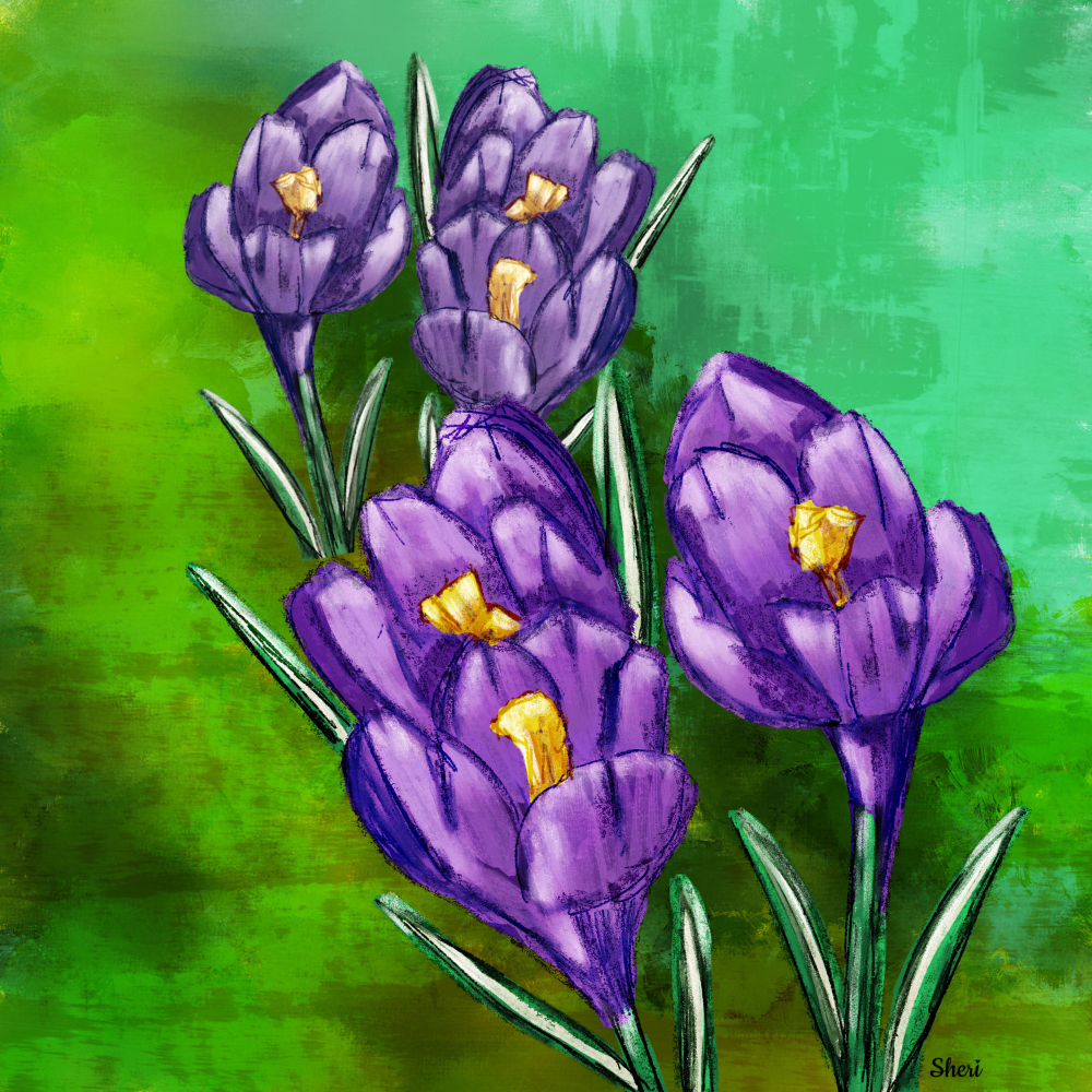 a cluster of purple crocus within the greenery