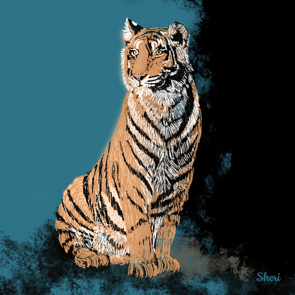 Tiger drawn in small lines on a teal and black background