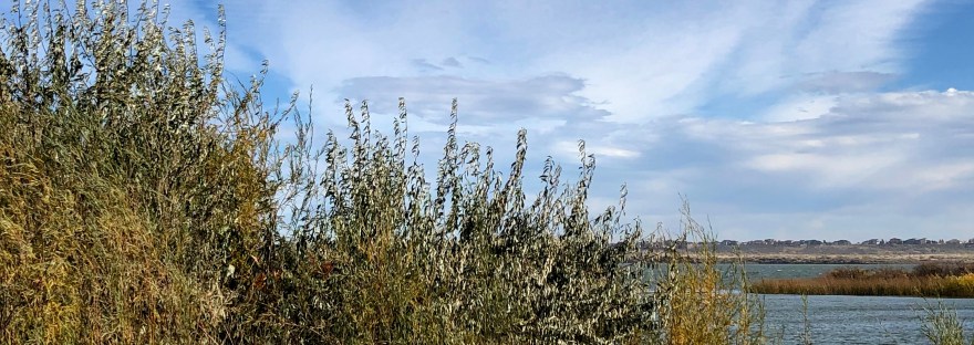 Moses Lake at Moses Pointe in autumn