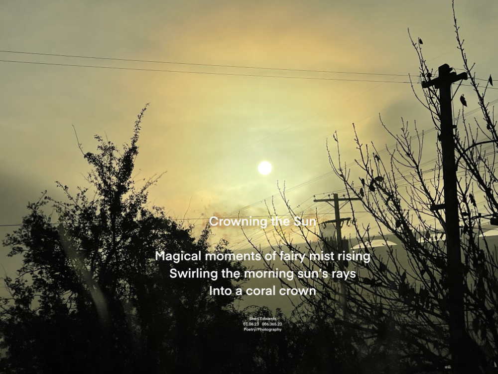 Coral ring around misty morning sun