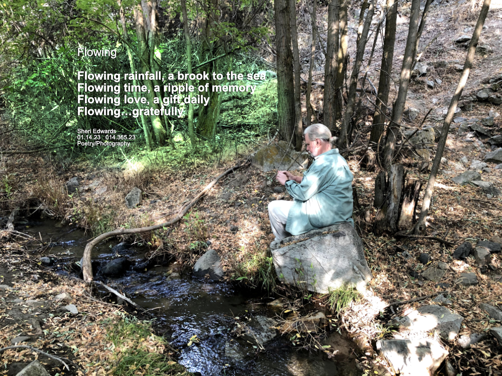 Grandpa in woods videoing and enjoying the sounds of the local brook