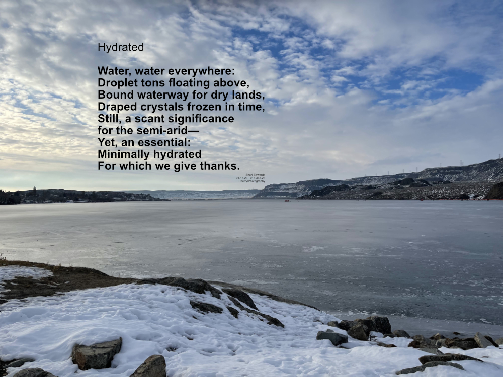 Winter Ice on Banks Lake with spotted, flowing clouds and snow-covered shoreline
