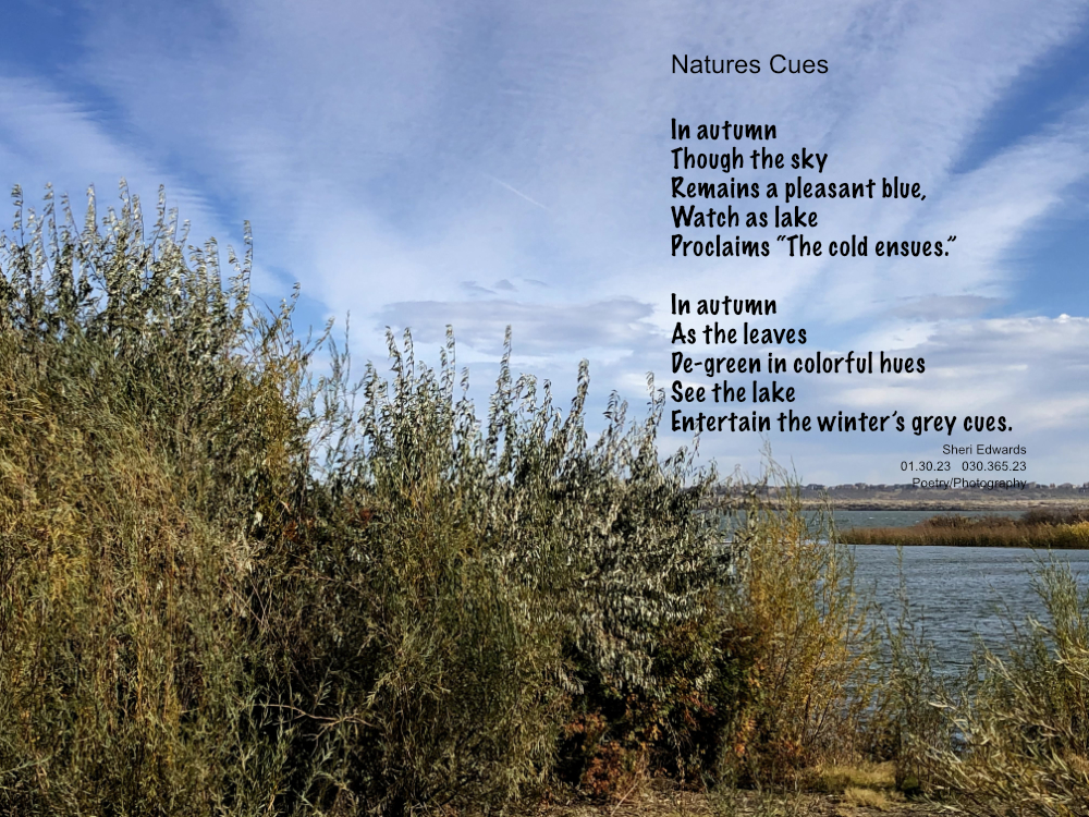 Moses Lake at Moses Pointe in autumn