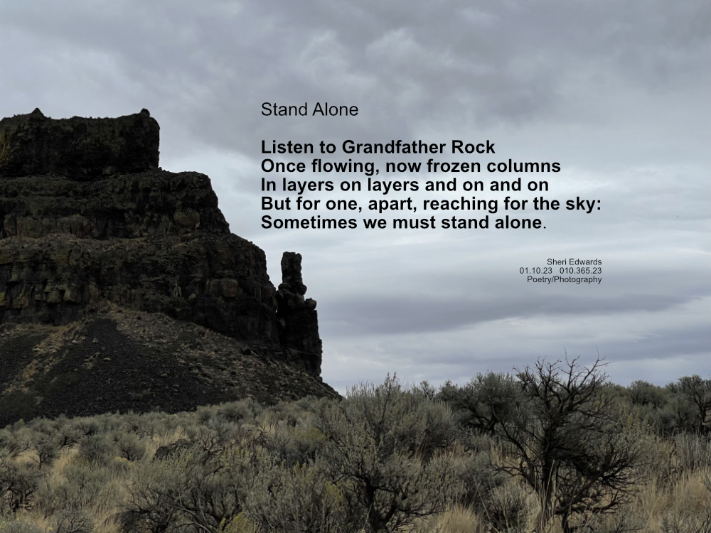 Ancient basalt lava flow in columns with one apart below grey skies and above grassland in the bed of ancient Dry Falls, WA