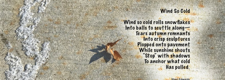 Winter sidewalk with stream of snow in tiny balls and and autumn leaf and shadow