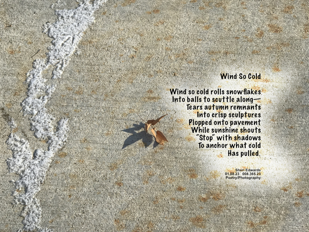 Winter sidewalk with stream of snow in tiny balls and and autumn leaf and shadow