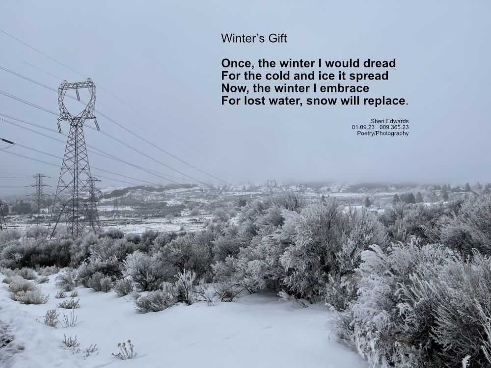January Winter Day near North Dam Park; frost and snow covers the landscape; fog descends from the basalt walls in the distance