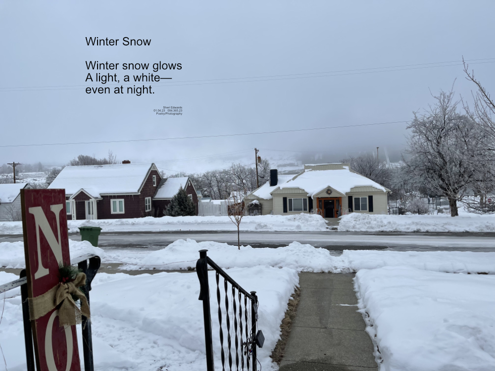 a neighborhood with shoveled bright snow