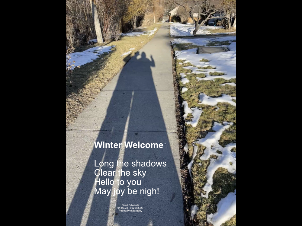 shadow of a man and woman waving yellow and “Live Long and Prosper” on the sidewalk of a snow laced neighborhood