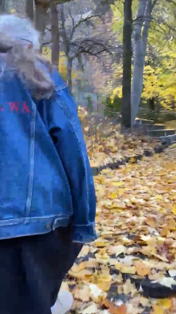 pleasant…like a walk through lovely autumn leaves to brighten your day