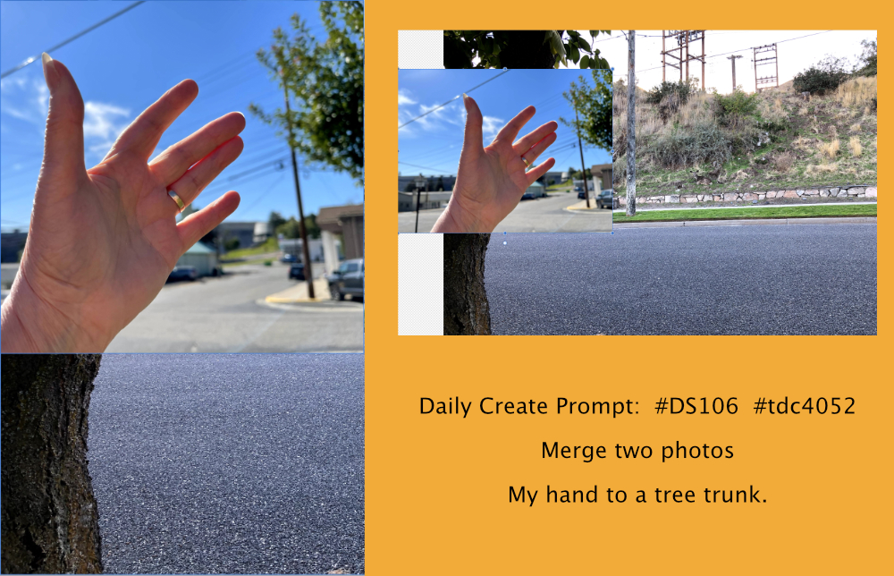 two merged photos:  a hand; a tree trunk along a street— the merged and how merged