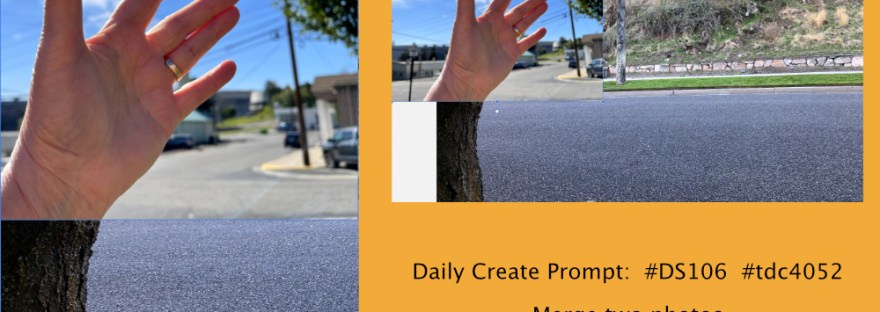 two merged photos:  a hand; a tree trunk along a street— the merged and how merged