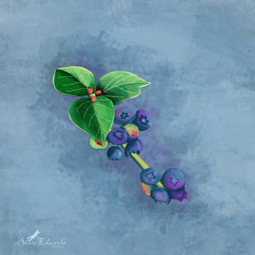 blueberries with leaves on a branch of the bush in a painterly style