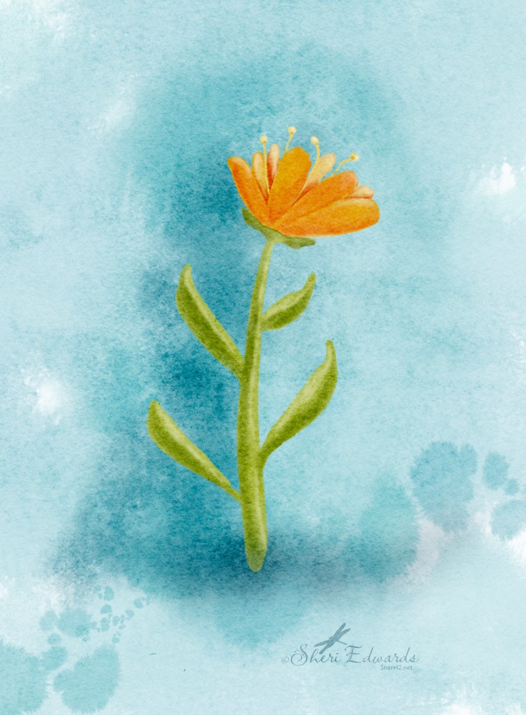 watercolor orange flower on teal background