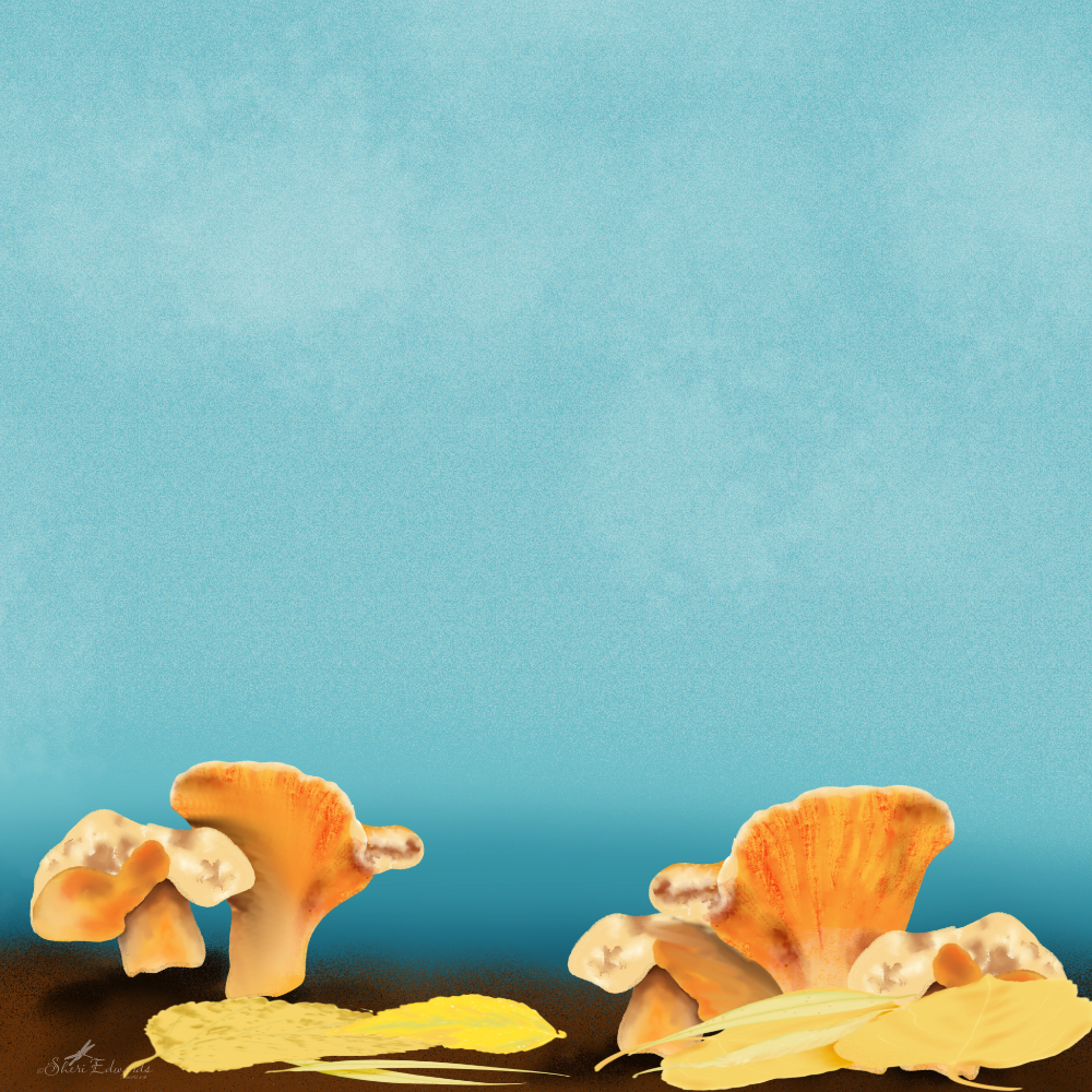 a few autumn leaves fallen and falling onto the ground beside mushrooms