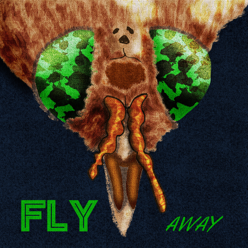 close up of head of deer fly
“Fly Away”