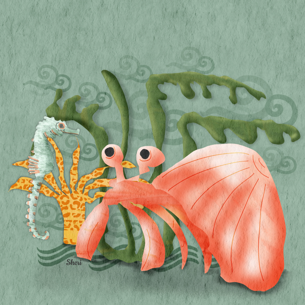 paper cut style hermit crab, seaweed, sea anemone, and sea horse