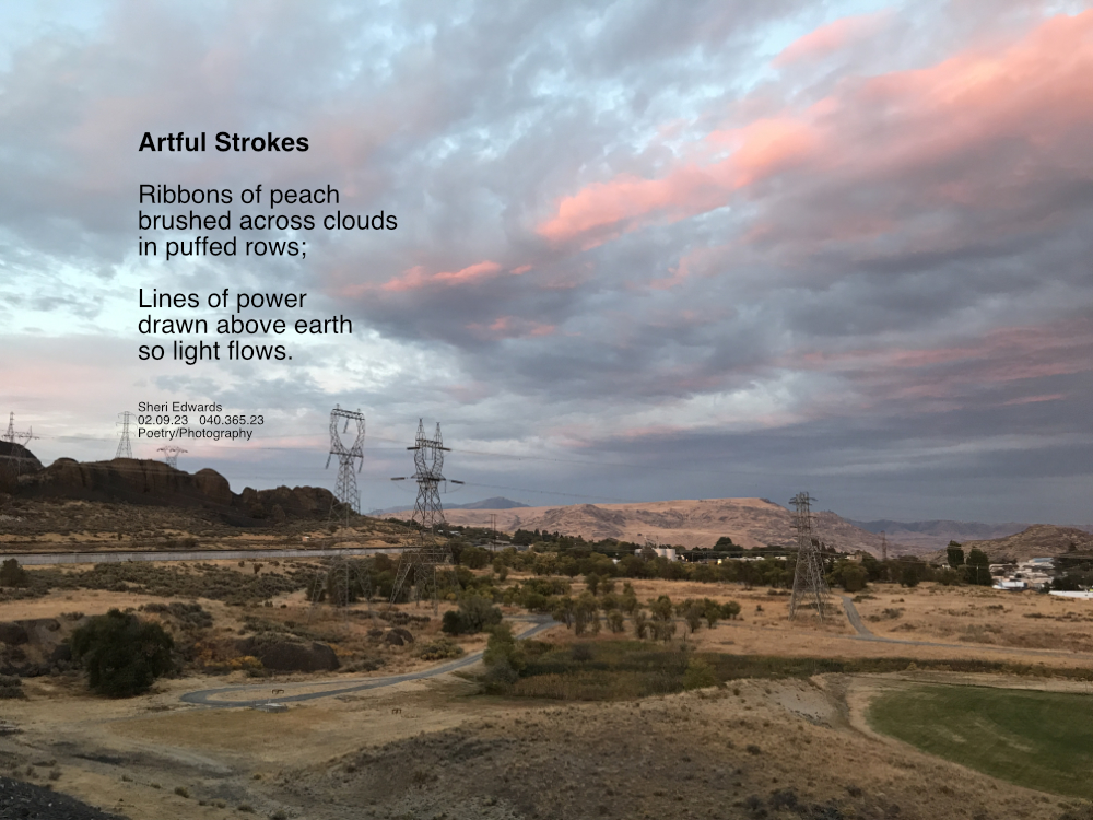 landscape of North Dam area with power lines across beneath a peachy, cloud streaked sunset. 
