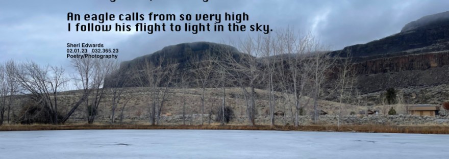 at the lake, an iced over lake holds a log in place