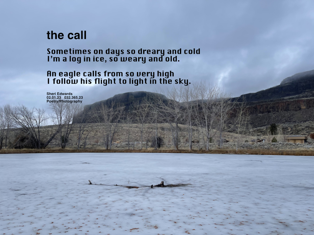 at the lake, an iced over lake holds a log in place