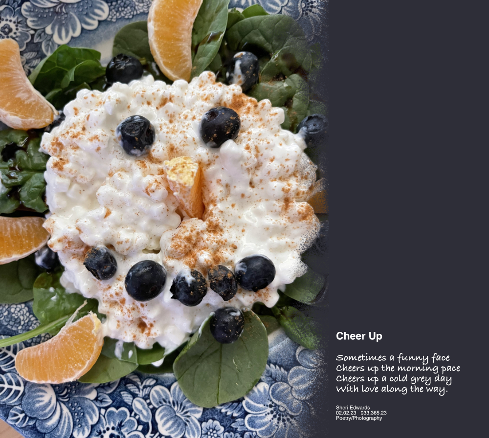blue flowered plate with a face of orange slices and blueberries in cottage cheese atop a bed of spinach