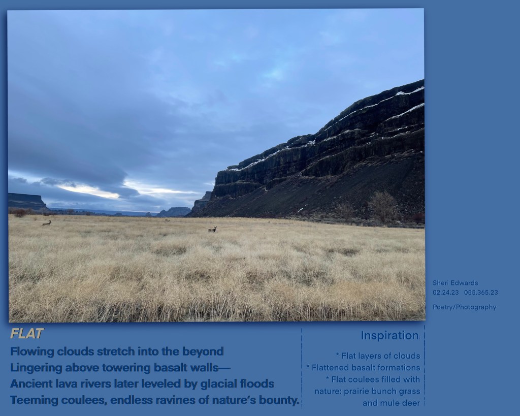 Coulee walls of Banks Lake, WA showing the inspiration:

Flat layers of clouds
Flattened basalt formations
Flat coulees filled with nature: prairie bunch grass and mule deer

FLAT

Flowing clouds stretch into the beyond
Lingering above towering basalt walls—
Ancient lava rivers later leveled by glacial floods
Teeming coulees, endless ravines of nature’s bounty. 

Sheri Edwards  
02.24.23   055.365.23
Poetry/Photography