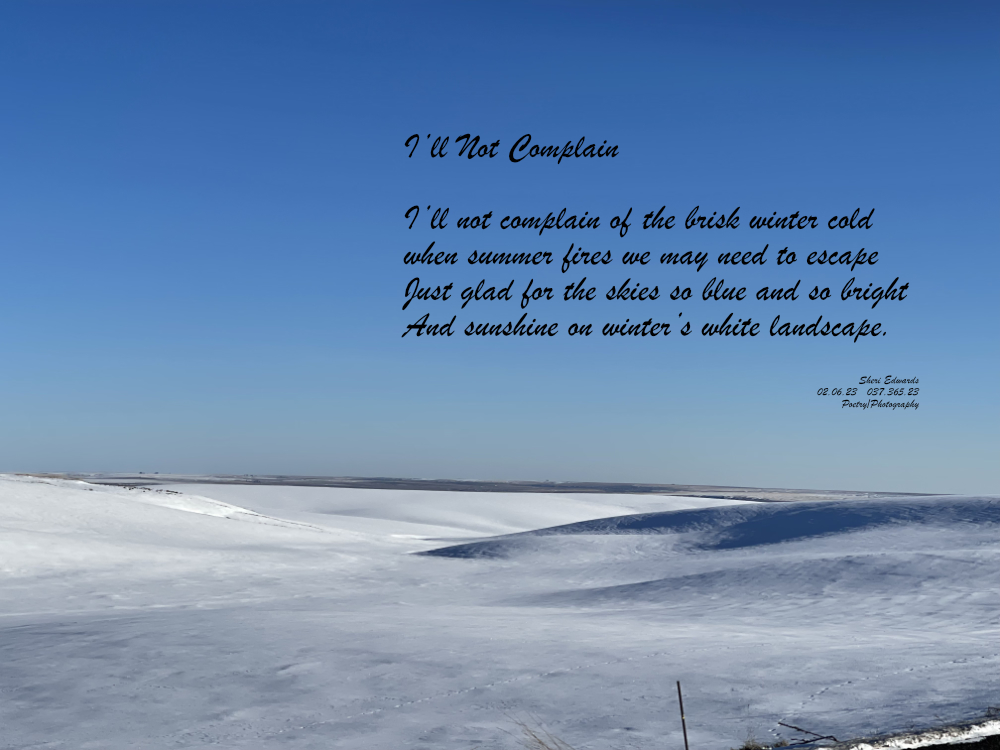 bright, snowy landscape on cloudless winter day on Old Coulee Road on way to Almira, WA