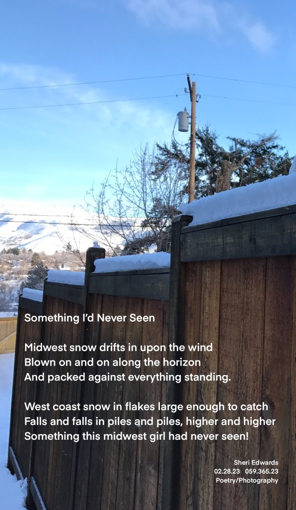 snow piled on top of a fence