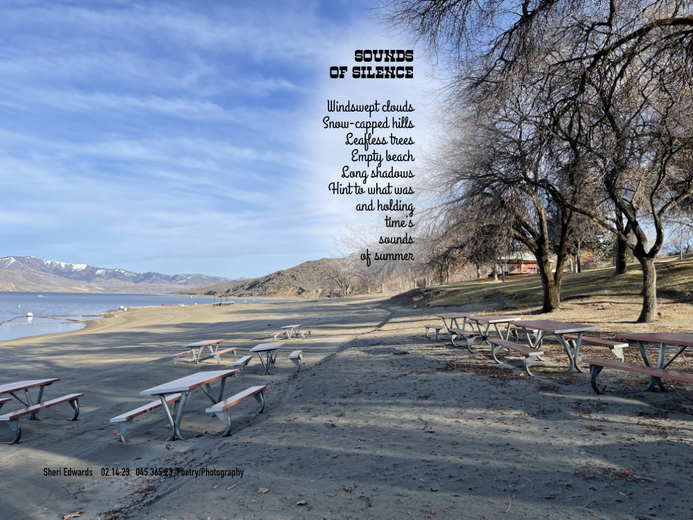 Spring Canyon, Lake Roosevelt National Recreation Area in winter with empty beaches and snow-capped hills