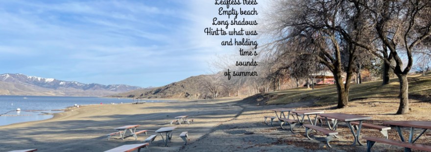 Spring Canyon, Lake Roosevelt National Recreation Area in winter with empty beaches and snow-capped hills