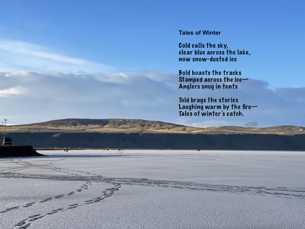 Coulee City, WA— ice anglers far out on the ice in tents on Banks Lake