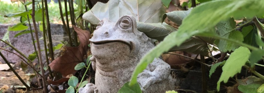small concrete frog and baby frog below the garden’s canopy of umbrella-like leaves