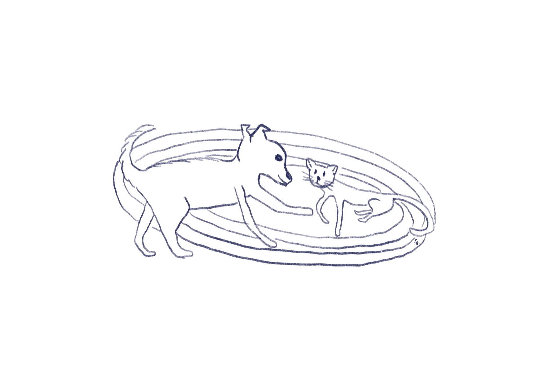 Pooka and Stella on the rug