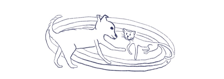 Pooka and Stella on the rug