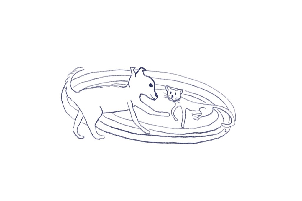 Pooka and Stella on the rug