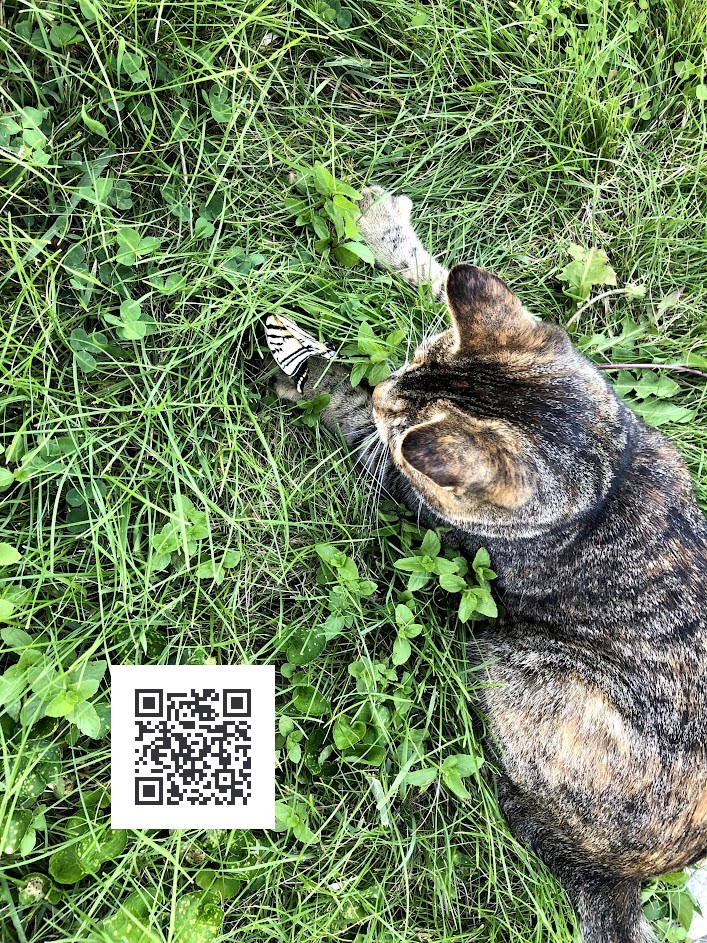 Clover and other plants in lawn for bee habitat; QR code to “Save the Bees” links