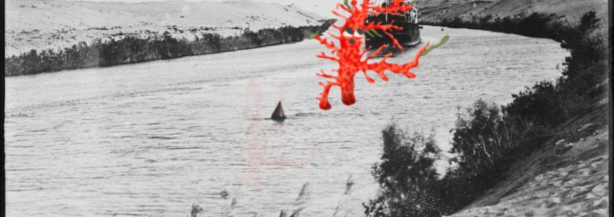 Sea coral monster: Suezy Coralsquatch in the Suez Canal