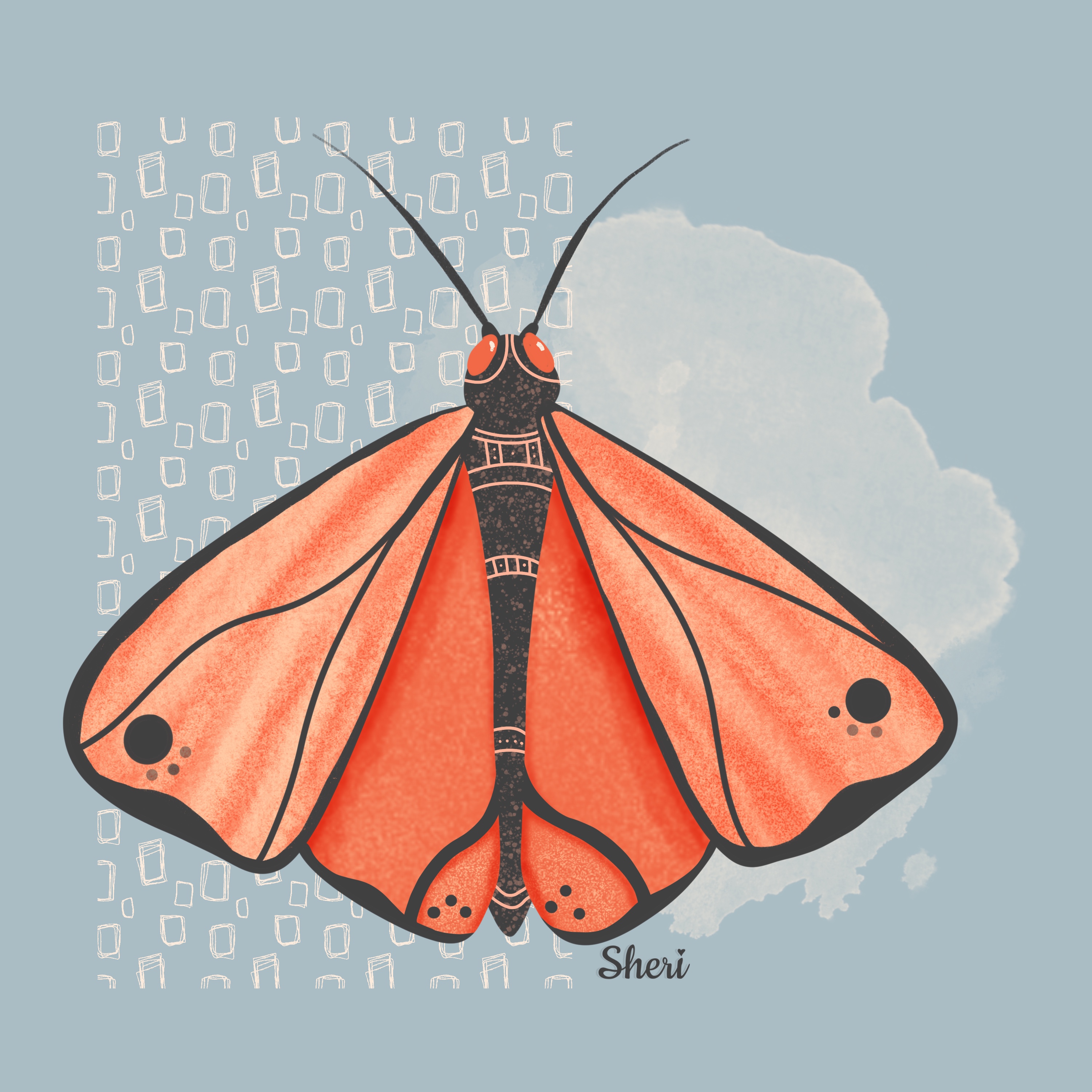 illustrated orange and black moth
