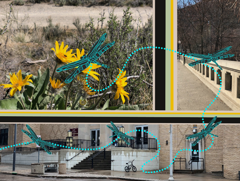 MarchMake dragonfly map
from Bismarck downtown to our bridge to our countryside