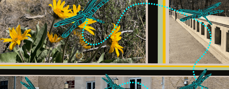 MarchMake dragonfly map from Bismarck downtown to our bridge to our countryside