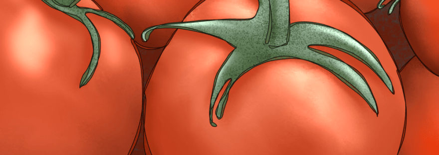 tomatoes on the shelf at the market