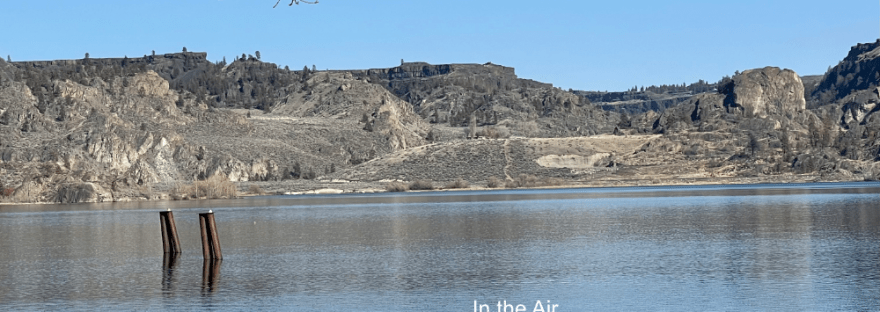 two Canada geese swimming in the lake together in spring