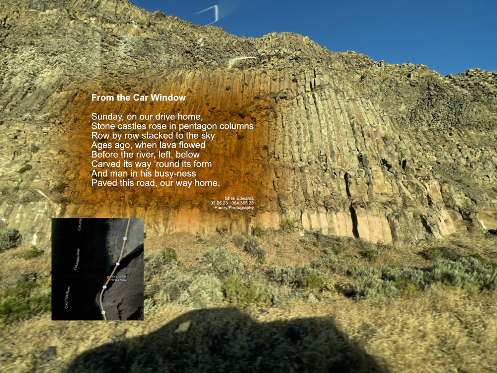 Columnar basalt of the ancient lava flows of the Columbia Plateau