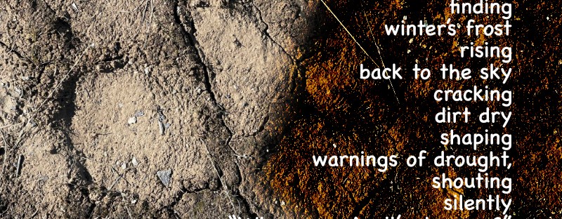 Polygonal cracks in the mud as winter’s frost evaporates