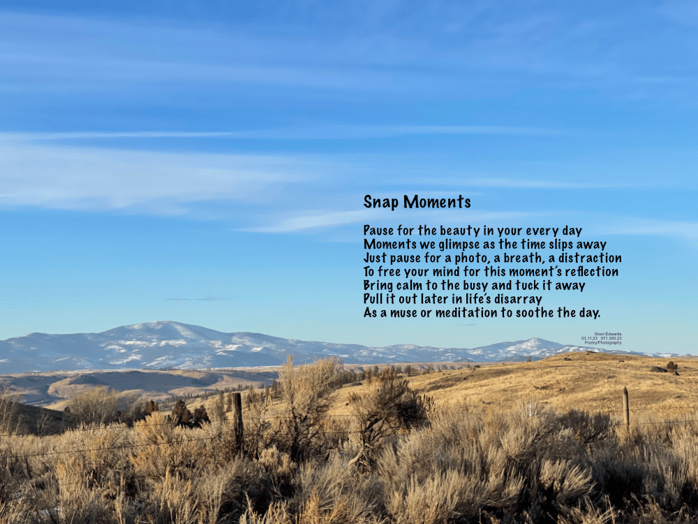 another view of Moses Mountain
near Buffalo Lake, WA