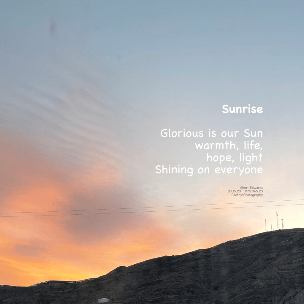 sunrise on the hill out my window one morning this week