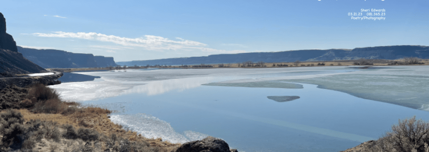 Banks Lake across from Steamboat Rock— receding ice and one water fowl swimming in the water under blue skies of spring