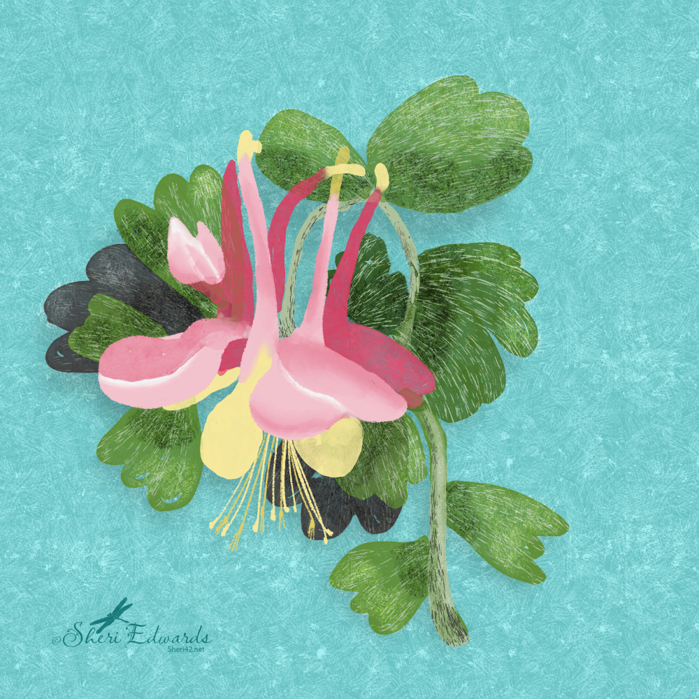 Columbine digital art by Sheri42